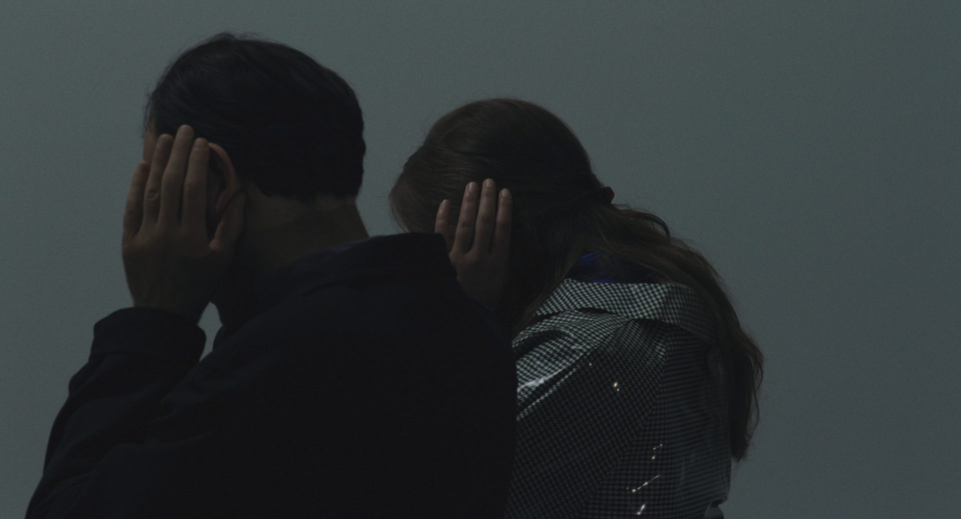 La conferencia de los pájaros