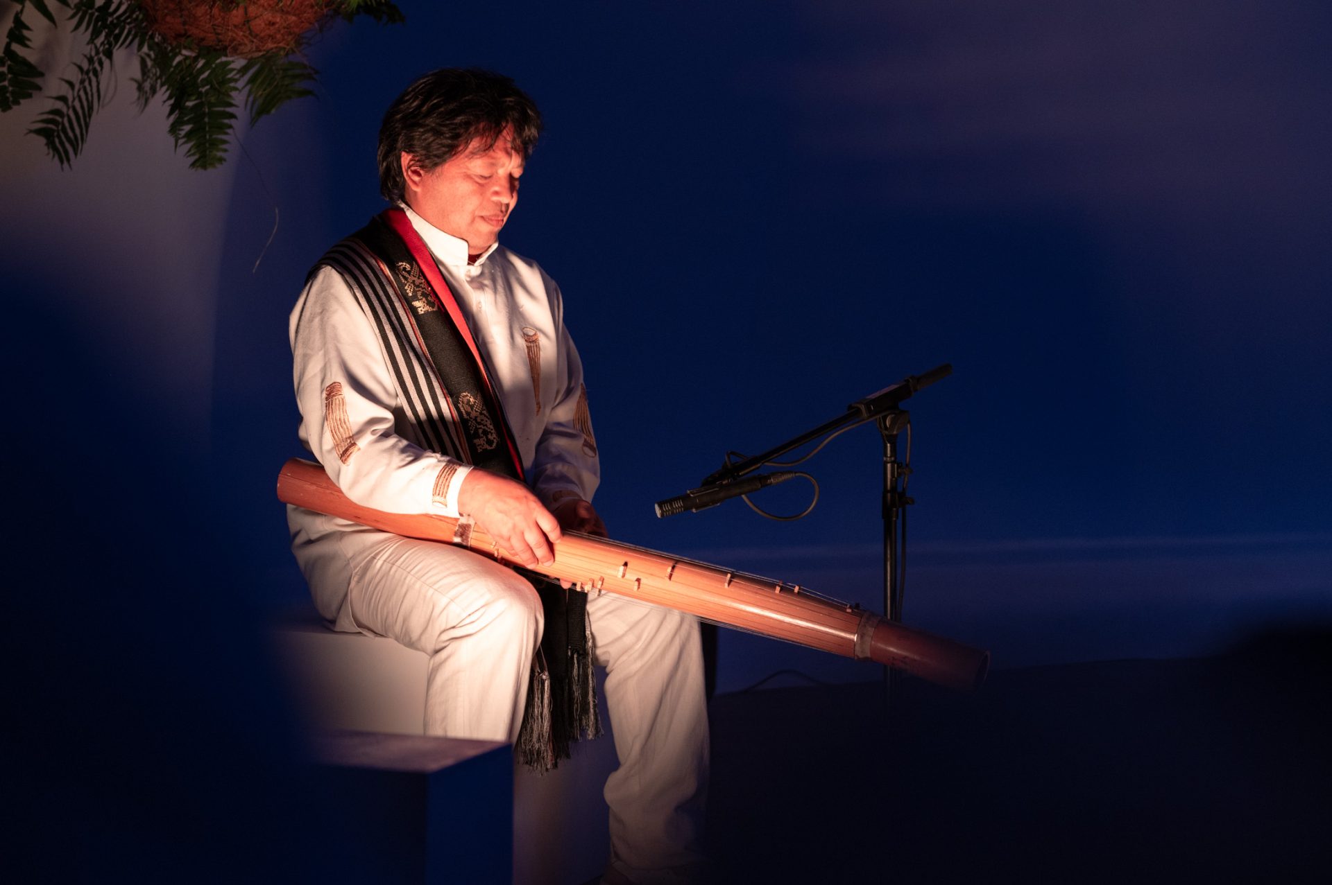 Resumen 14º Edición (2024)