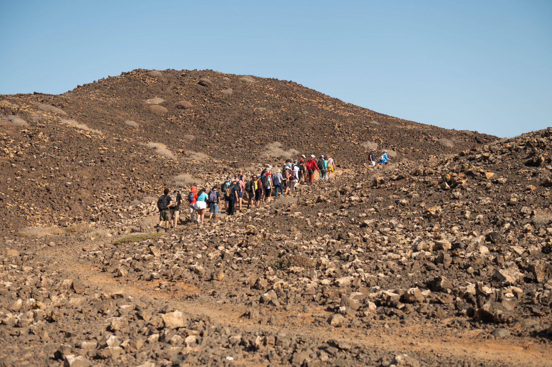 Resumen 14º Edición (2024)